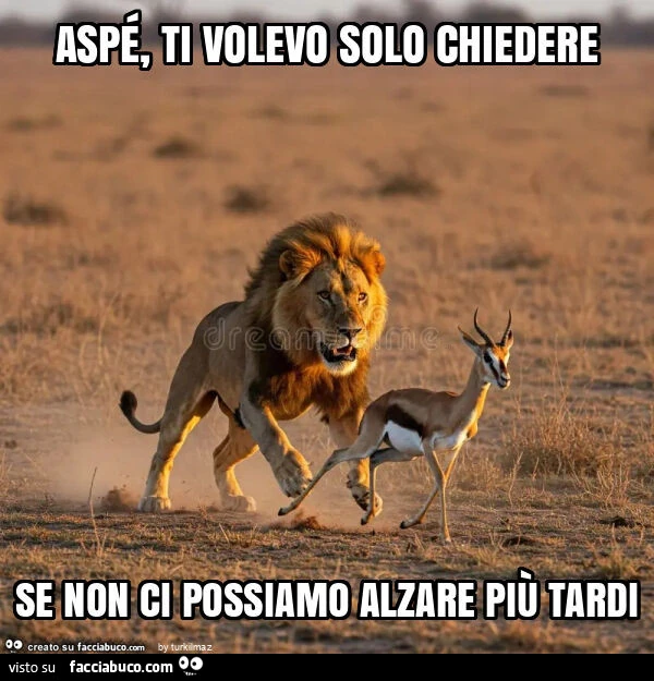 Aspรฉ, ti volevo solo chiedere se non ci possiamo alzare piรน tardi