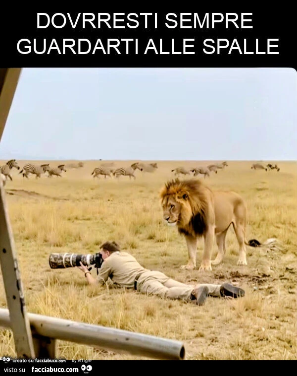 Dovrresti sempre guardarti alle spalle