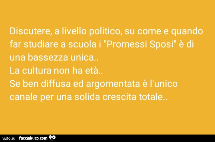 Discutere, a livello politico, su come e quando far studiare a scuola i promessi sposi è di una bassezza unica. La cultura non ha età. Se ben diffusa ed argomentata è l'unico canale per una solida crescita totale