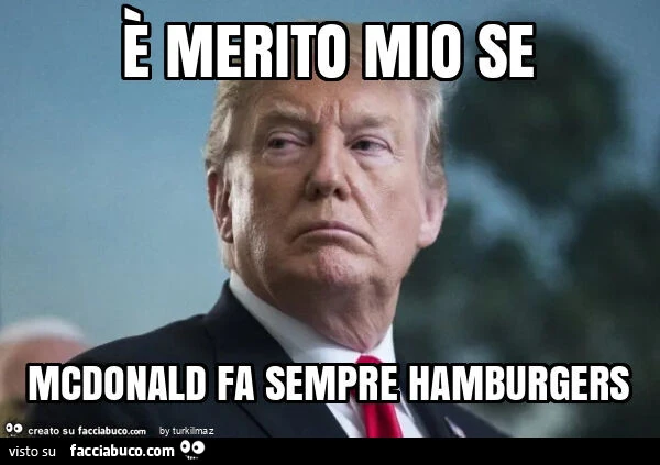 È merito mio se mcdonald fa sempre hamburgers