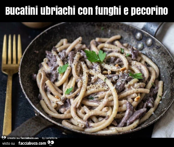 Bucatini ubriachi con funghi e pecorino