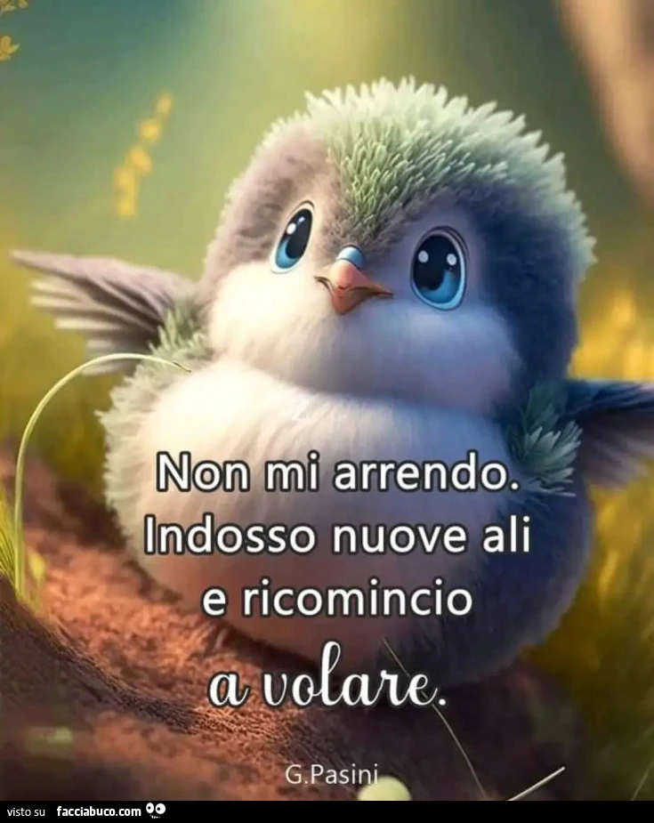 Volare
