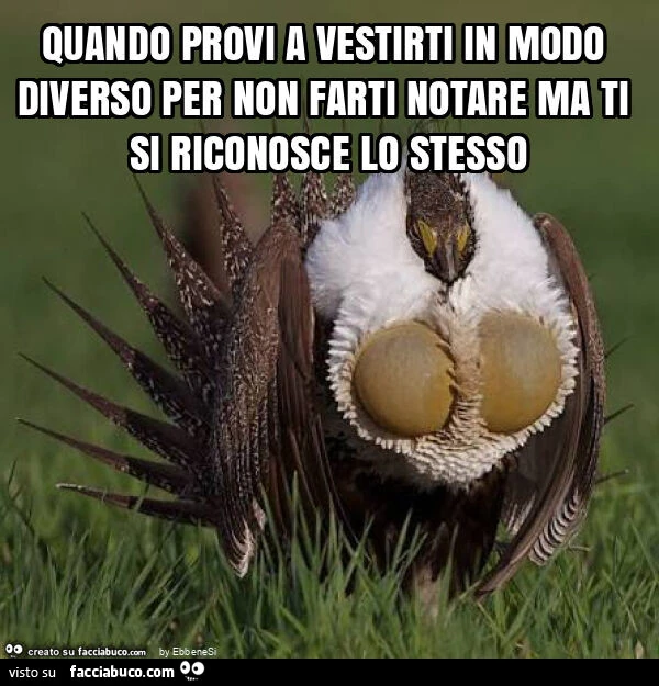 Quando provi a vestirti in modo diverso per non farti notare ma ti si riconosce lo stesso