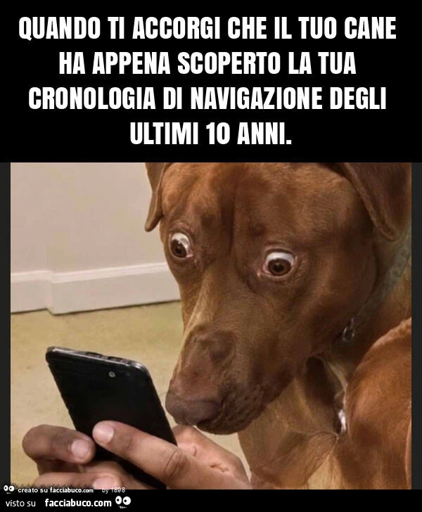 Quando ti accorgi che il tuo cane ha appena scoperto la tua cronologia di navigazione degli ultimi 10 anni