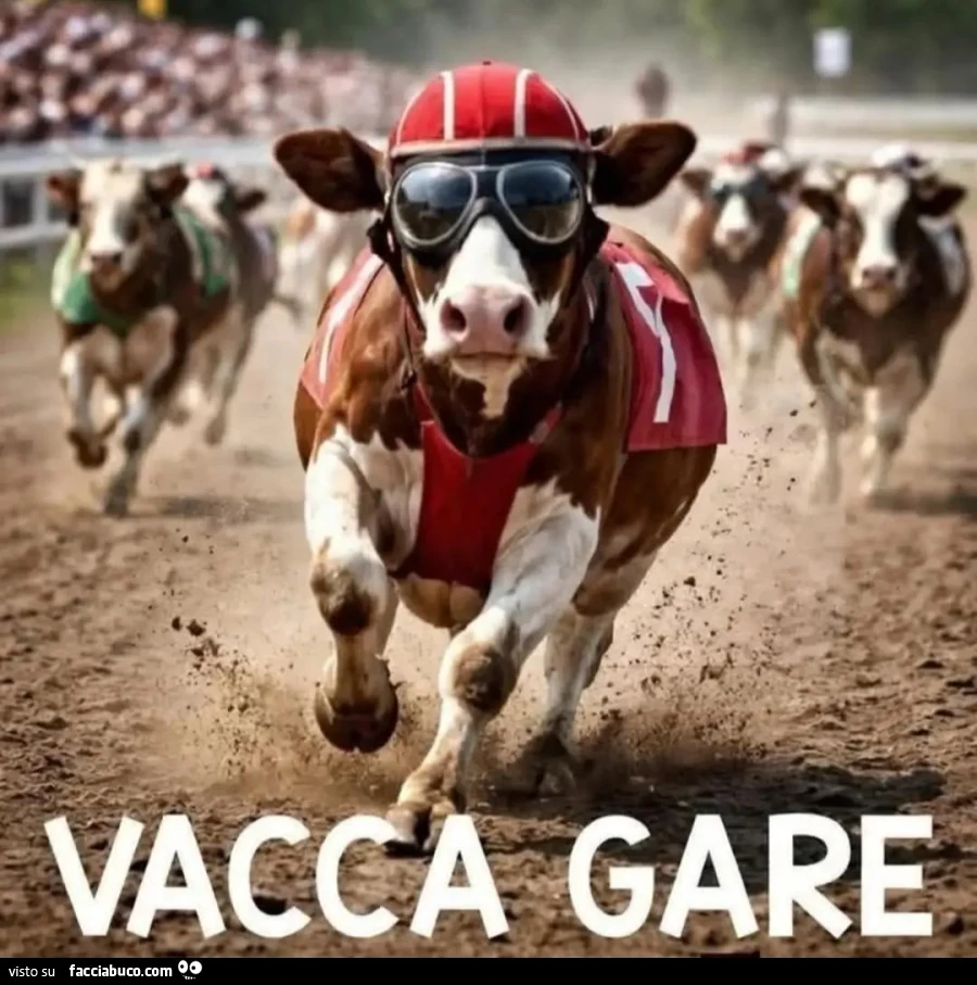 Vaccata