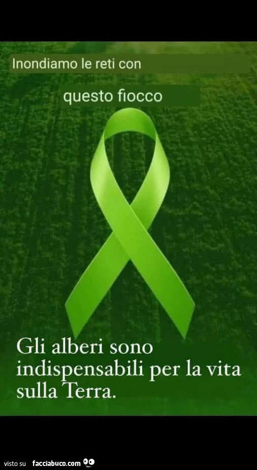 Inondiamo le reti con questo fiocco. Gli alberi sono indispensabili per la vita sulla terra