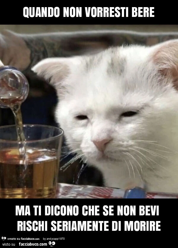 Quando non vorresti bere ma ti dicono che se non bevi rischi seriamente di morire