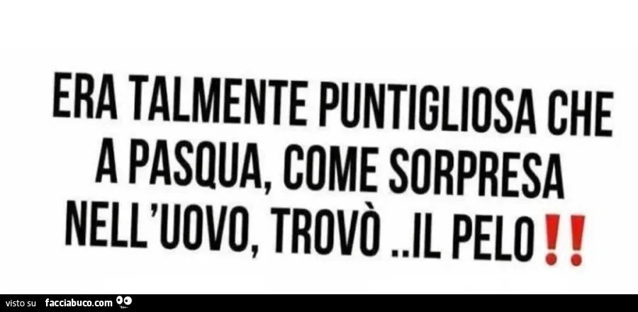 ERA TALMENTE PUNTIGLIOSA CHE A PASQUA COME SORPRESA NELL' 'UOVO TROVร IL PELO