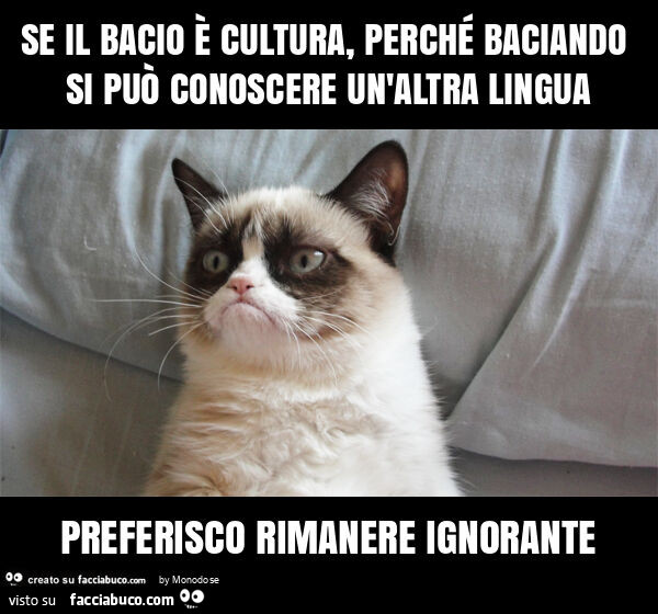 Se il bacio è cultura, perché baciando si può conoscere un'altra lingua preferisco rimanere ignorante