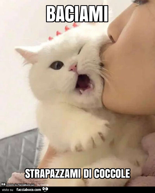 Baciami strapazzami di coccole