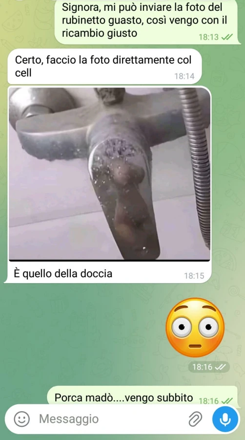 Vaccata