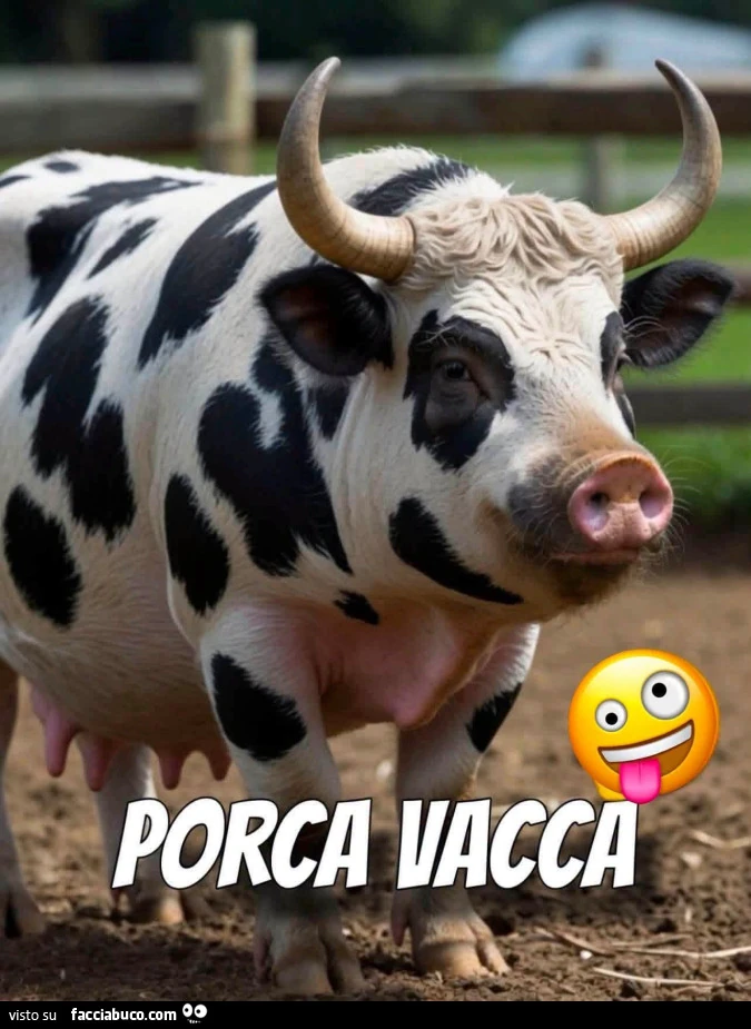 Vaccata