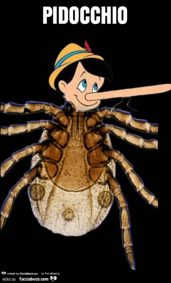 Pidocchio