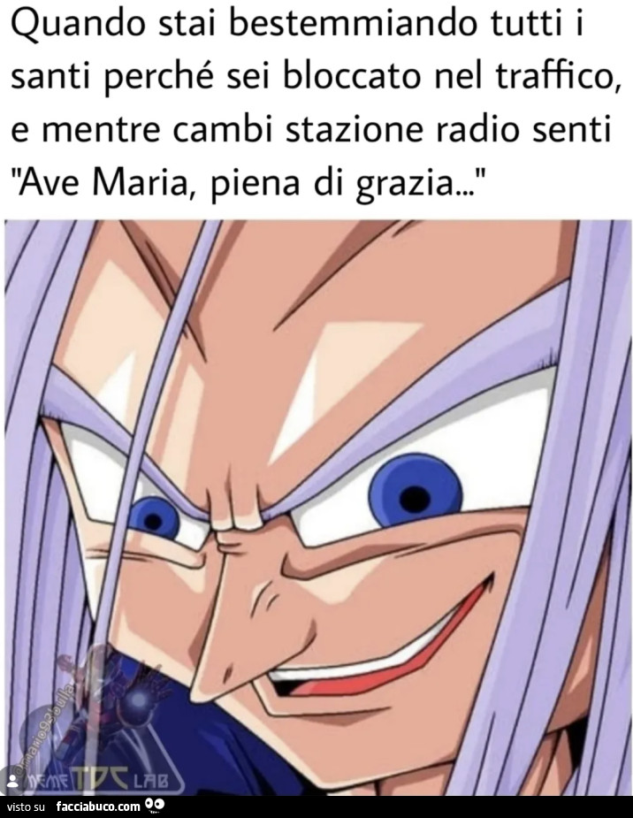 Vaccata