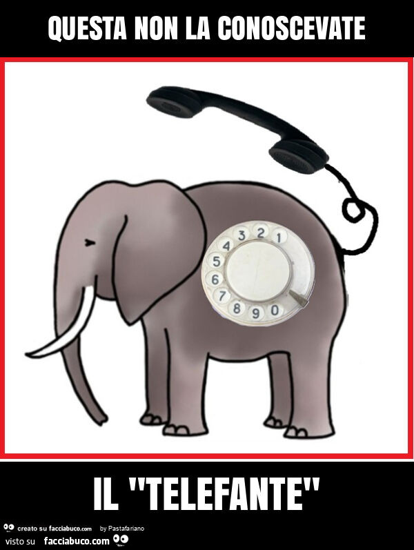 Questa non la conoscevate il "telefante"