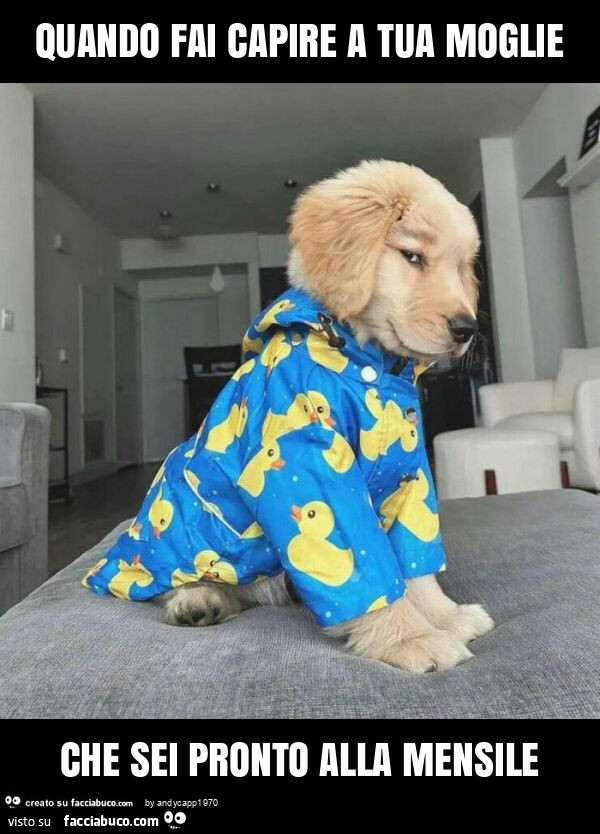 Quando fai capire a tua moglie che sei pronto alla mensile