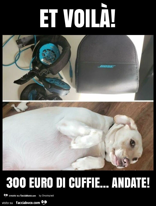 Et voilà! 300 euro di cuffie&hellip; andate