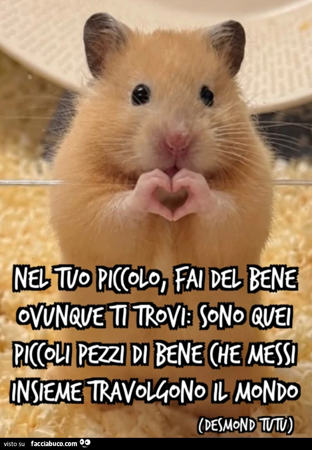 Nel tuo piccolo, fai del bene ovunque ti trovi: sono quei piccoli pezzi di bene che messi insieme travolgono il mondo Desmond Tutu
