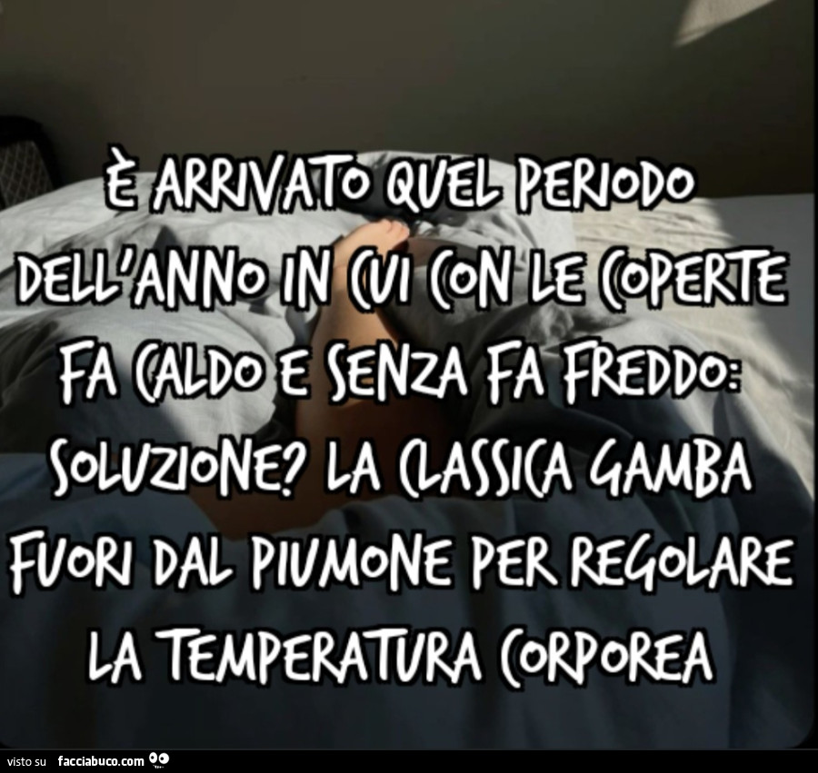 È arrivato quel periodo dell'anno in cui con le coperte fa caldo e senza fa freddo: soluzione? La classica gamba fuori dal piumone per regolare la temperatura corporea
