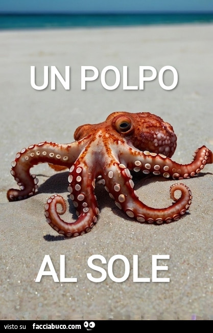 Un polpo al sole