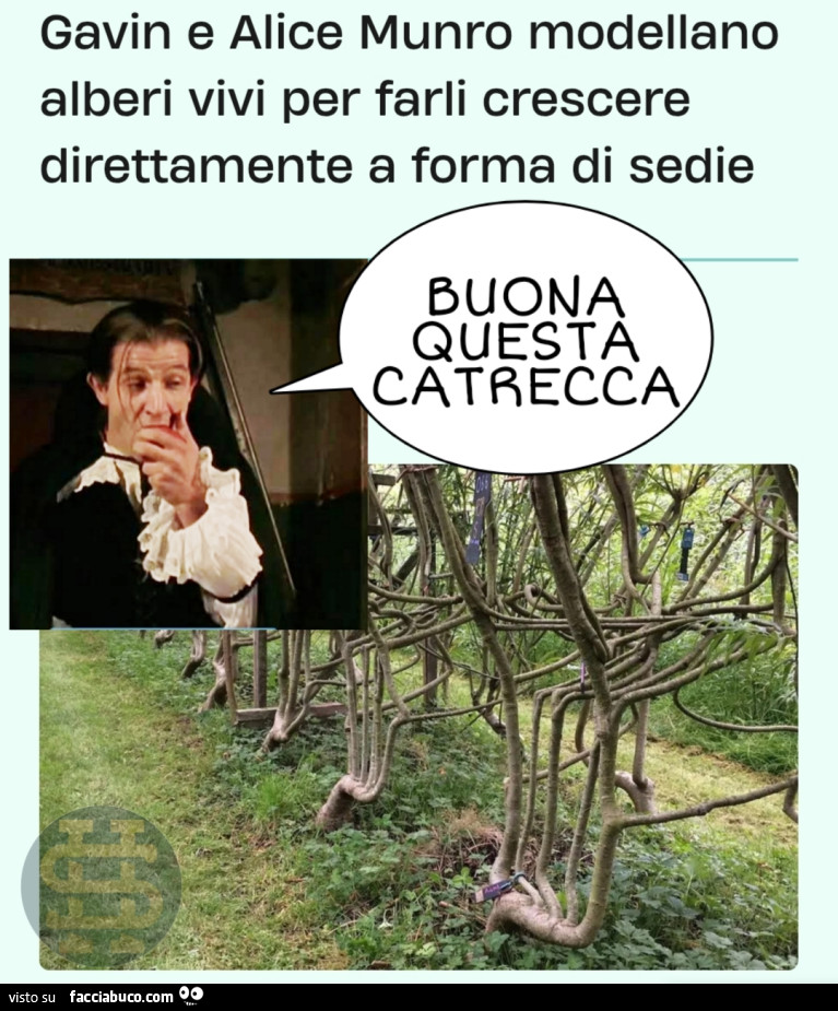 Vaccata