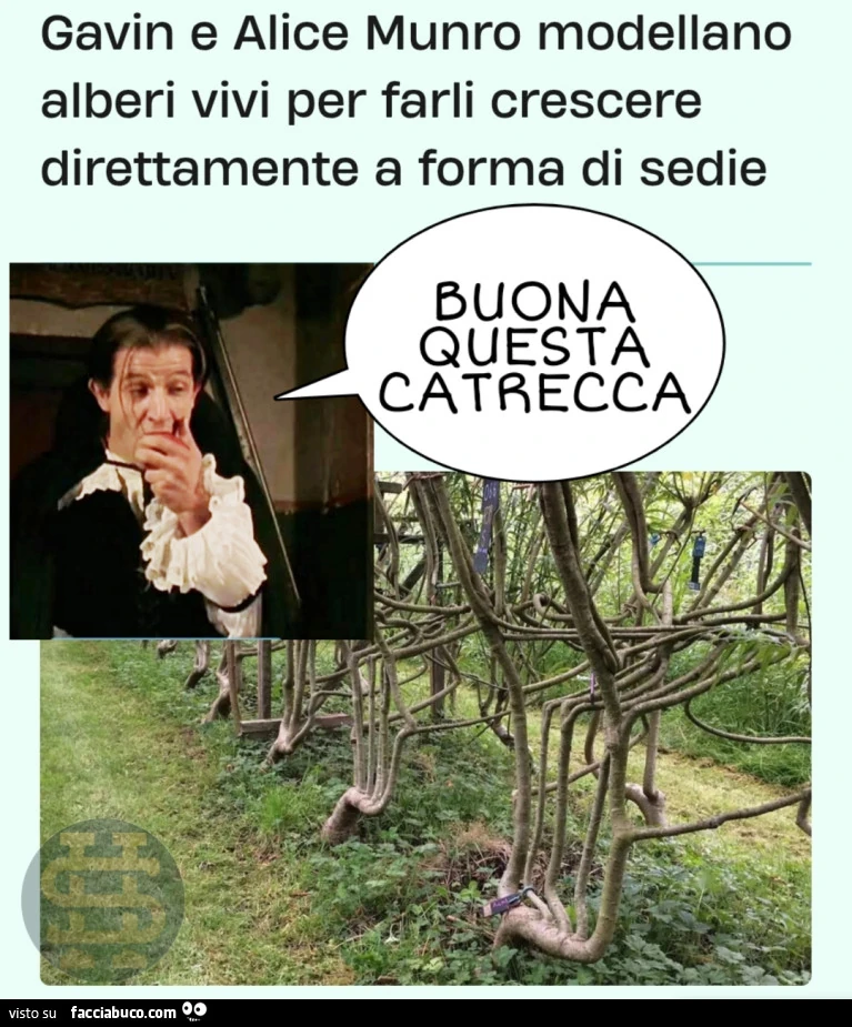 Vaccata