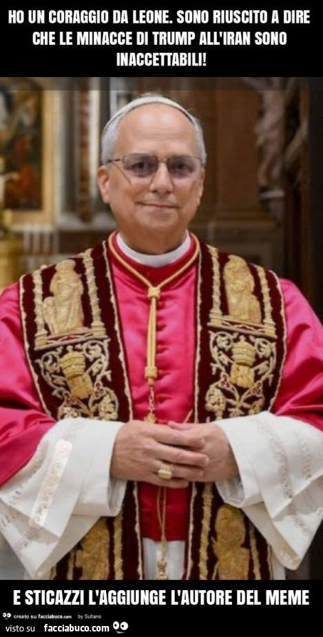 Ho un coraggio da leone. Sono riuscito a dire che le minacce di trump all'iran sono inaccettabili! E sticazzi l'aggiunge l'autore del meme