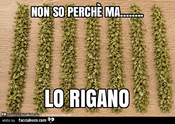 Non so perchè ma… lo rigano