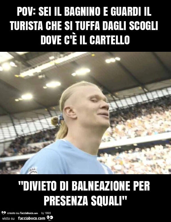 Pov: sei il bagnino e guardi il turista che si tuffa dagli scogli dove c'è il cartello "divieto di balneazione per presenza squali"