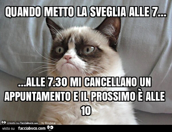 Quando metto la sveglia alle 7… alle 7.30 mi cancellano un appuntamento e il prossimo รจ alle 10