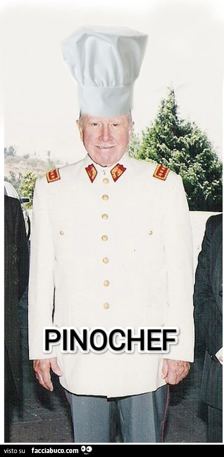 Pinochef