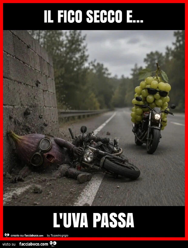 Il fico secco e&hellip; l'uva passa