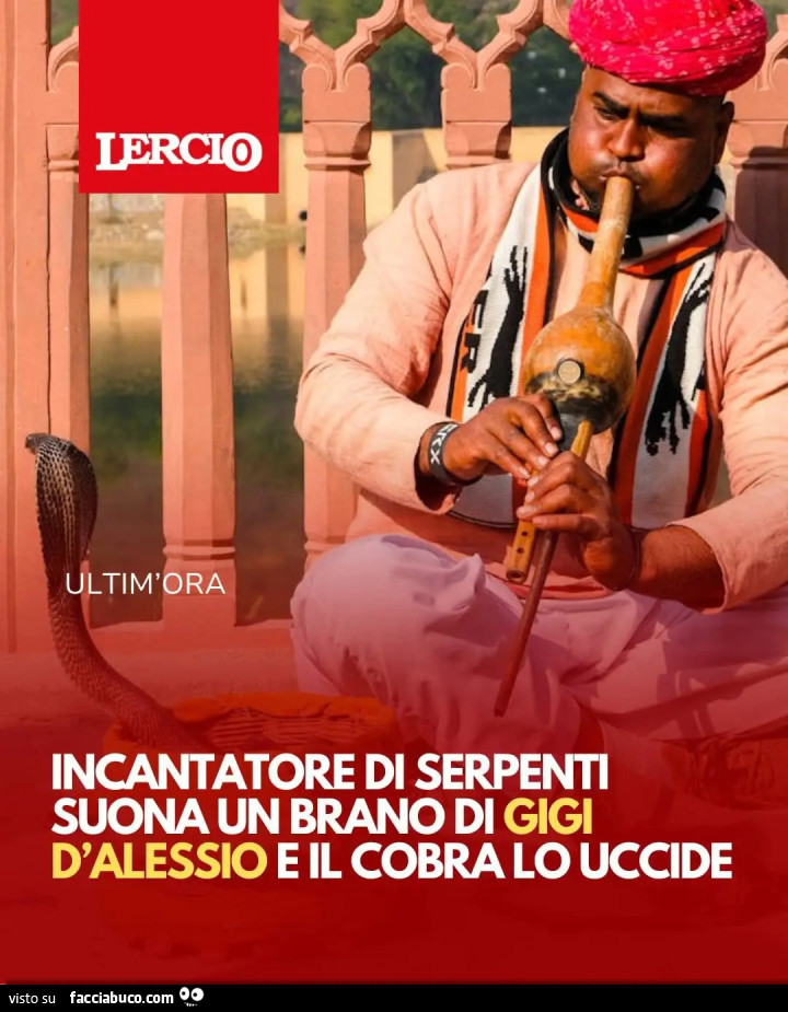 Lercio