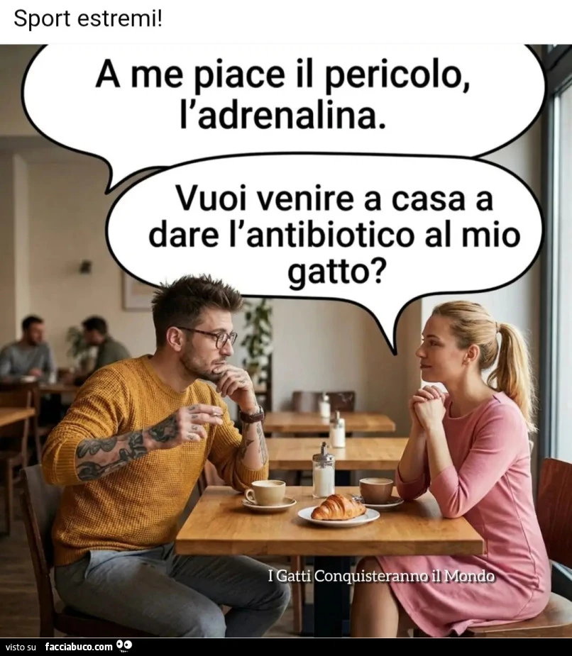 Provaci