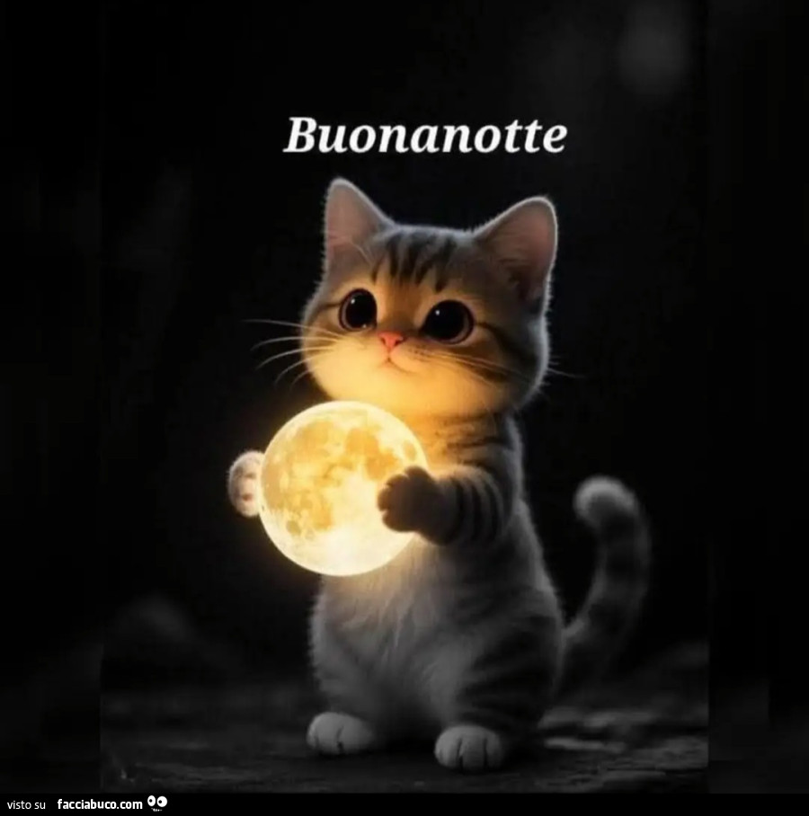 Gattino con la luna. Buonanotte