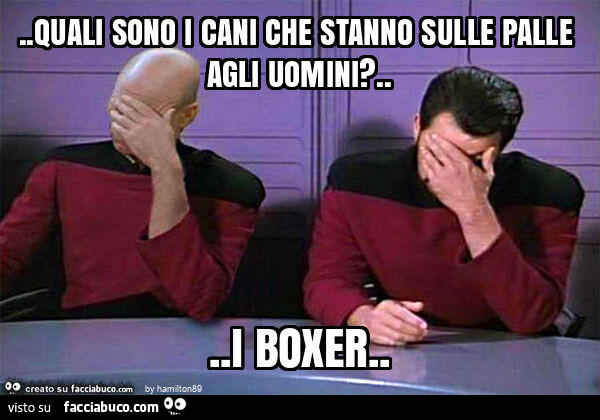 Quali sono i cani che stanno sulle palle agli uomini? &hellip; i boxer
