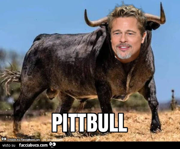 Pittbull