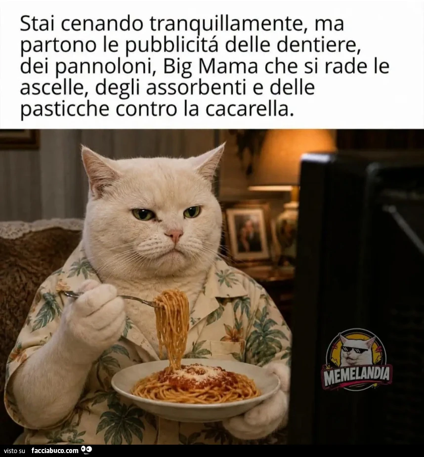 Stai cenando tranquillamente, ma partono le pubblicitá delle dentiere, dei pannoloni, Big Mama che si rade le ascelle, degli assorbenti e delle pasticche contro la cacarella. MEMELANDIA