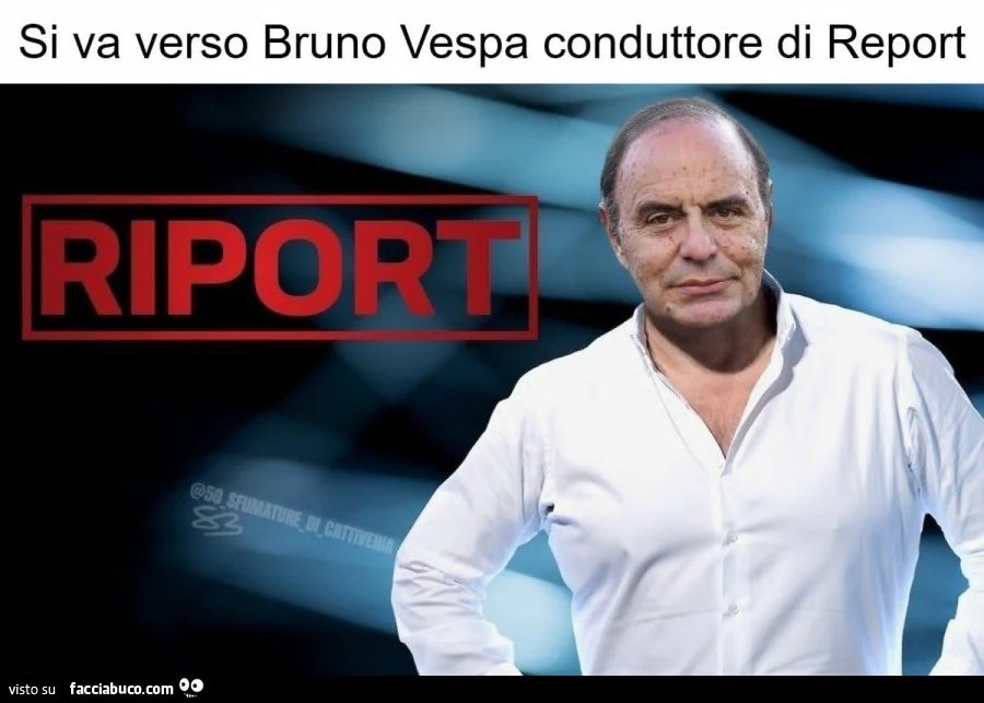 Riport