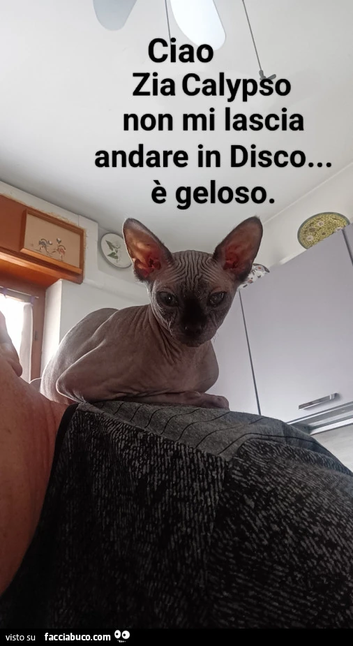 Vaccata