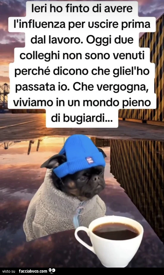 Vaccata