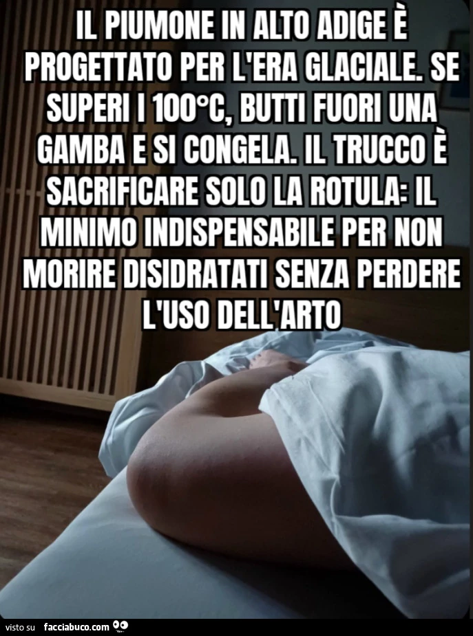Il piumone in alto adige è progettato per l'era glaciale. Se superi i 100°C, butti fuori una gamba e si congela. Il trucco è sacrificare solo la rotula: il minimo indispensabile per non morire disidratati senza perdere l'uso dell'arto