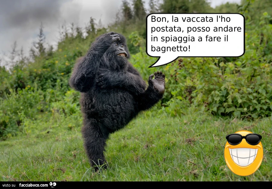 Vaccata