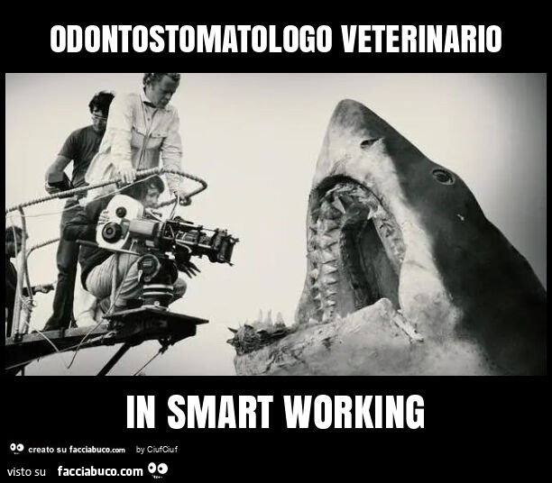 Odontostomatologo veterinario in smart working
