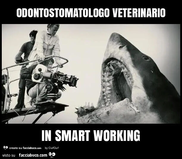 Odontostomatologo veterinario in smart working