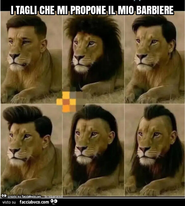 I tagli che mi propone il mio barbiere