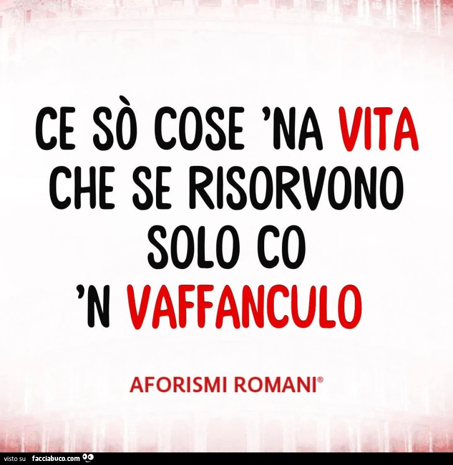Ce sรฒ cose 'na vita che se risorvono solo co n vaffanculo