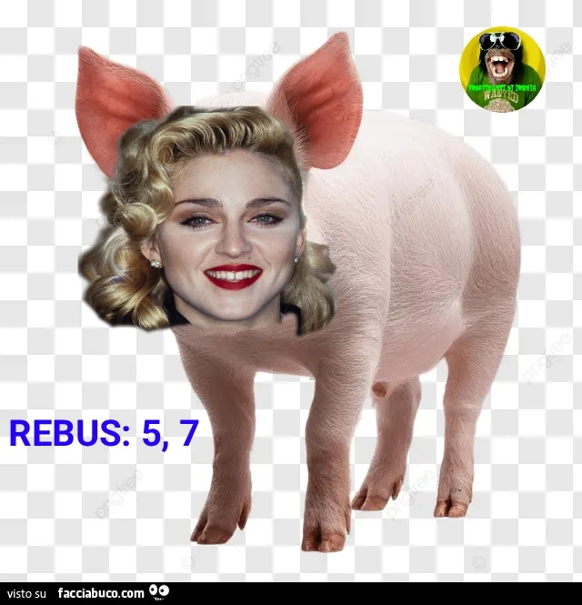 Rebus 5 7 p0rc@ madonna