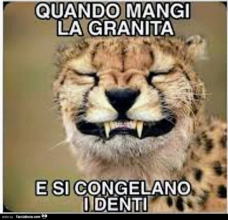 Granita