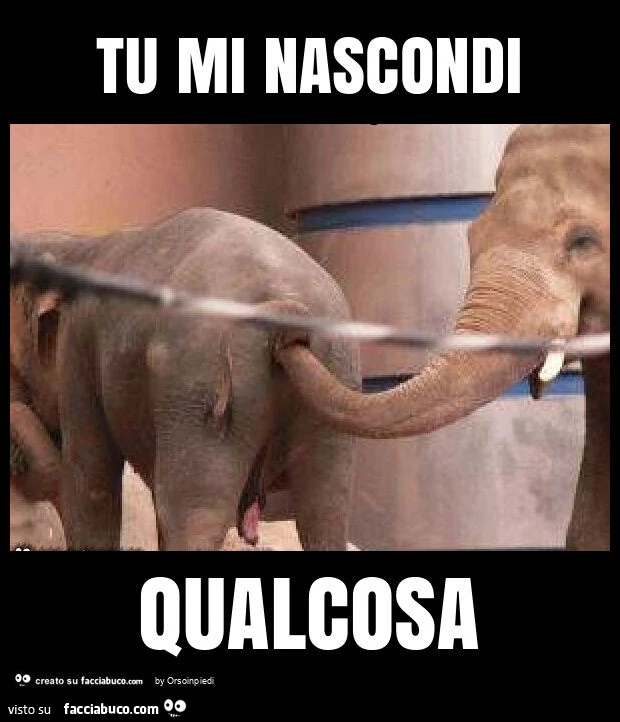 Tu mi nascondi qualcosa